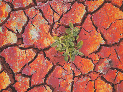 As the world GDP is growing, carbon emissions have been increasing by around 2.5 percent annually