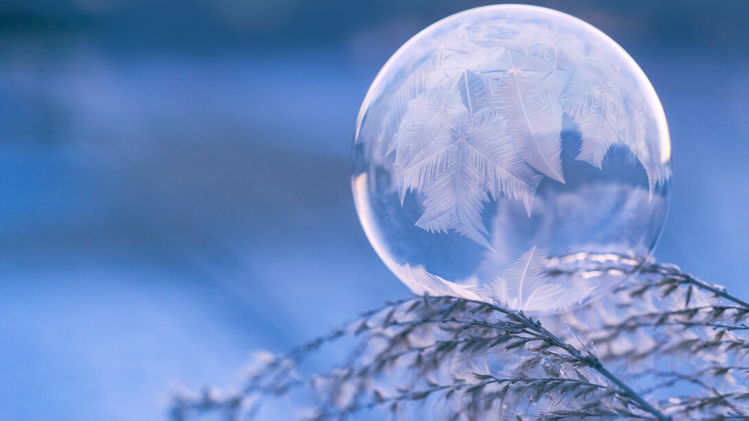 Burbuja congelada sobre una planta: los giros no cesan de girar por doquier, en los orbitales de los átomos de nuestros cuerpos, en los sistemas planetarios que enmarcan nuestra consciencia