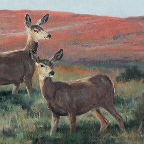 Wildlife Discovery 2019. Courtesy of Trailside Galleries