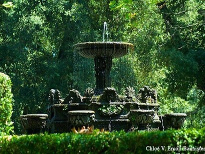 Fountain in the gardens of Villa Lante