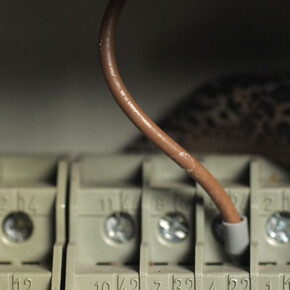 Nina Canell. Courtesy of S.M.A.K