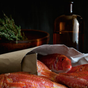 Salmonetes
Javier Campano              

© Fundación Amigos del Museo del Prado, Madrid, 2018