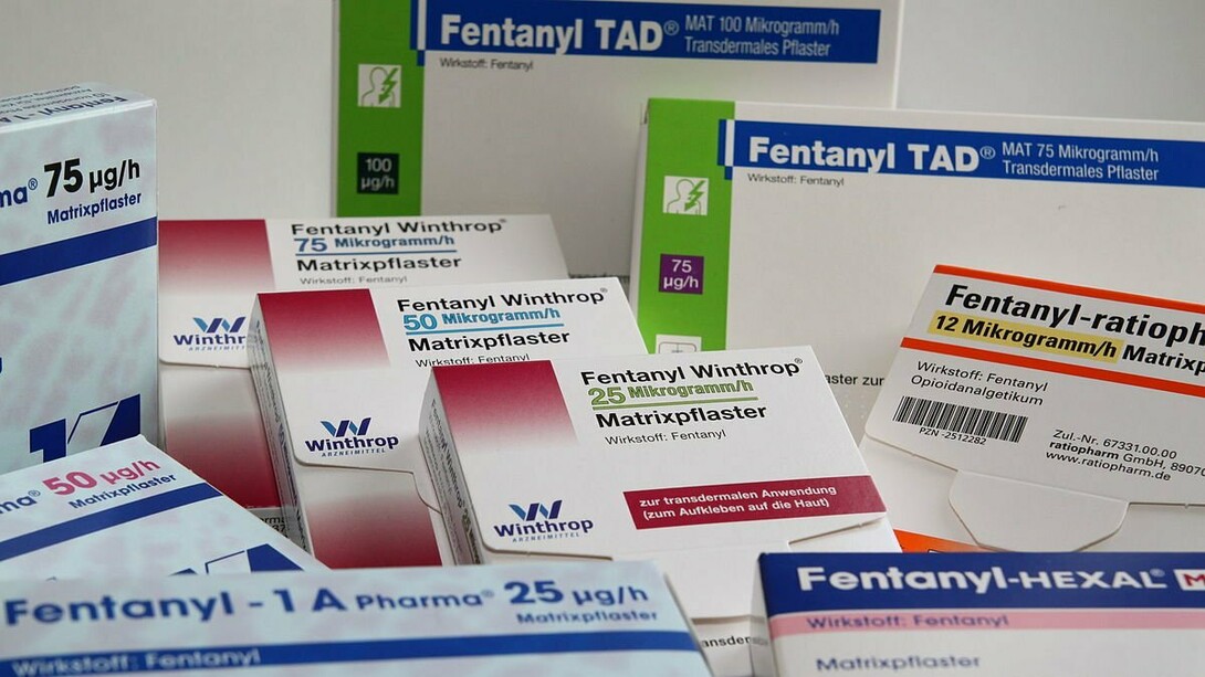 I dati relativi alla diffusione e all’ utilizzo di tale droga negli Stati Uniti evidenziano che solo nel 2022 circa settantacinquemila americani risultano deceduti per overdose di Fentanyl, tra cui il famoso rapper Coolio