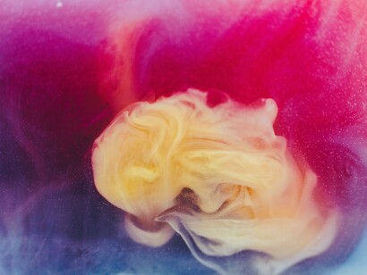 Symbols are ordered in several strata in a way that resembles the living beings division in genus, species, and individual