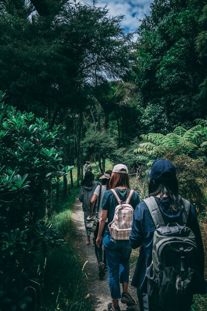 A group of friends walking in the woods 