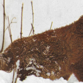 Rudolf Stingel. Courtesy of Fondation Beyeler