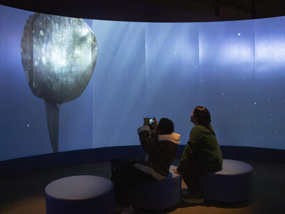 Unseen oceans, exhibition view. Courtesy of Field Museum
