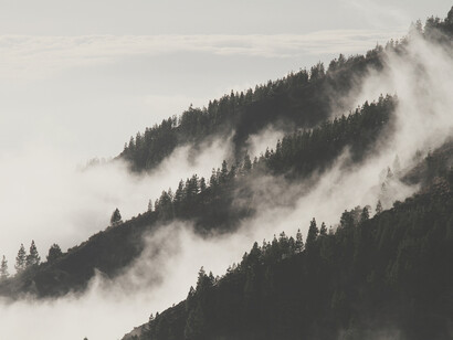Previsioni meteo e meteorognostica, nebbia. Questo corpo di conoscenze, che per lo più sono poi state smentite da più dettagliate analisi statistiche, prende il nome di meteorognostica, ed è presente più o meno in tutte le culture