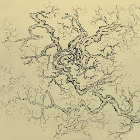 Arnold Chang (b. 1954), Omni-directional Trees, 2014.2, With two seals of the artist, Ink on paper, mounted on card, 24.2 x 27.5 cm; (9 1/2 x 10 7/8 in.), © the artist. Courtesy of Ben Brown Fine Arts Hong Kong