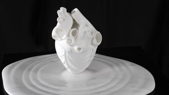 “Un battito”, cuore in marmo bianco di Carrara dell’artista Matteo Faben