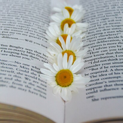 Forse è meglio spegnere i dispositivi elettronici e seduti su una comoda poltrona, con un libro sorseggiare un gradevole infuso di melissa, camomilla e tiglio...