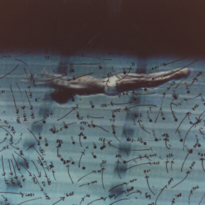 Video Drawings: Swimming, 1975, chromogenic print. MCA Chicago, Anixter Art Acquisition Fund. Photo courtesy of the artist and Garth Greenan Gallery, New York

