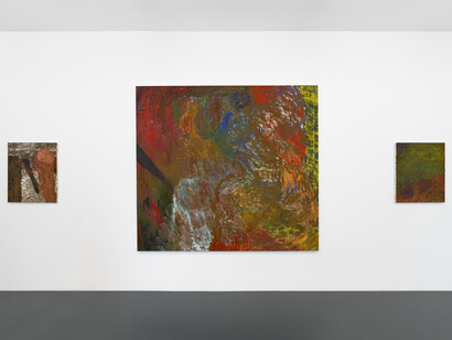 Brett Goodroad, Paradise valley, exhibition view. Courtesy of Michael Werner Gallery