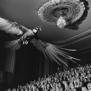 Teddy Horton, The reaper (film still), 2025. Courtesy of Onespace Gallery