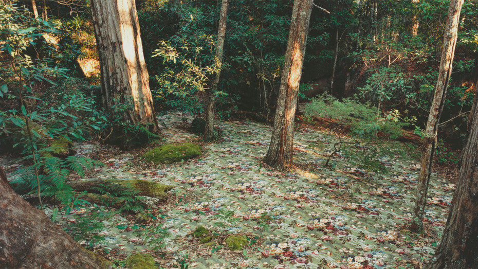 Rosemary Laing, groundspeed (Rose petal) #17, 2001. Courtesy of Galerie Lelong