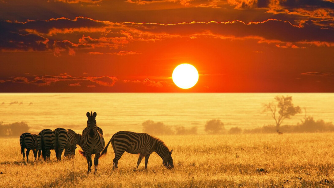 African sunset