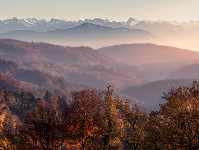 Llego al pueblo huyendo, buscando la paz de los campos, de lo simple, de lo sencillo y lento