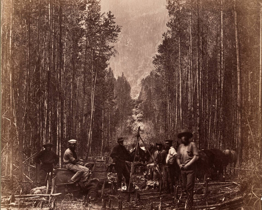 Into the Woods. Courtesy of Victoria and Albert Museum