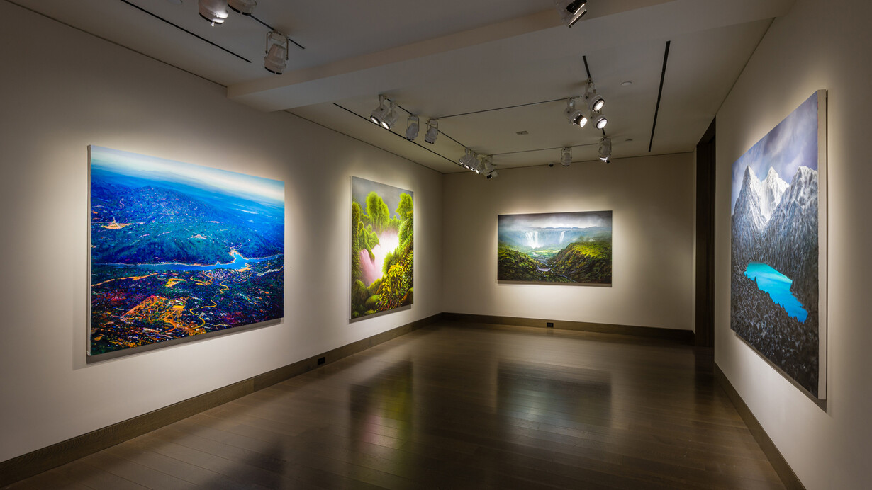 Tula Telfair, Who owns this land, exhibition view. Courtesy of Hirschl & Adler Modern