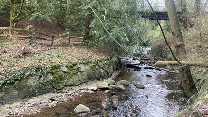 A trail by Still Creek at Renfrew Ravine Park, representing the resilience of nature within an urban landscape