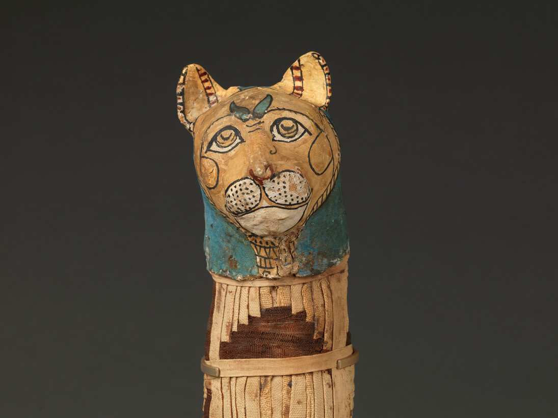 Momia de gato, materia orgánica, lino, cartonaje, periodo Tardío (664-332 a. de C.) o período Ptolemaico. © Museo del Louvre, Dist. RMN-GP. Foto: Christian Décamps.