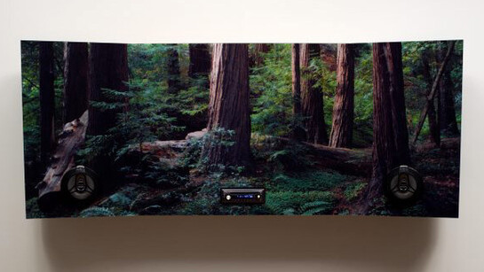 Out of the ordinary. Courtesy of Art Gallery of NSW