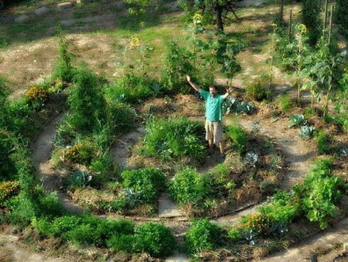 Esempio di orto-giardino sinergico
