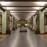 American Museum of Natural History