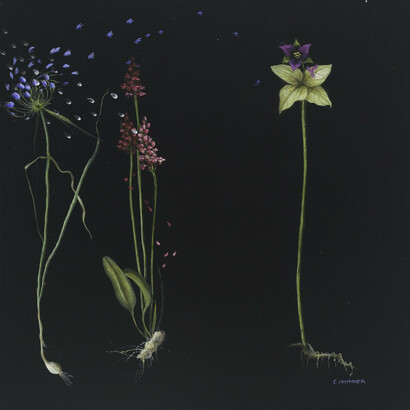 Carol Mothner, Flowers, Oil on panel, 10 x 10 in. Courtesy of LewAllen Galleries