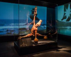 Body Worlds: Pulse. Courtesy of California Science Center