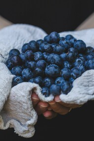 A person holding a handful of blueberries 