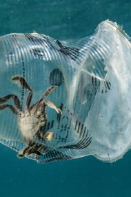 La plastica invade i nostri mari