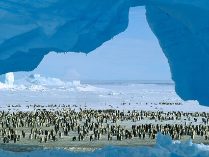 Pinguini in Antartide
