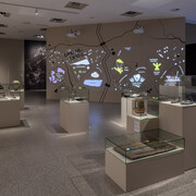 Save land. United for land, exhibition view. Courtesy of Bundeskunsthalle