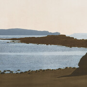 Takao Tanabe, Cormorant island, 2023