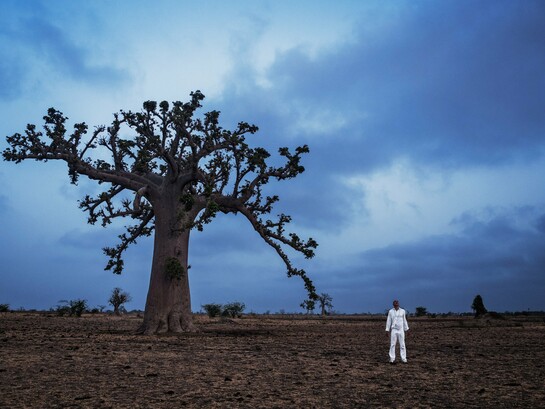 Um homem vestido de branco está diante de um imponente baobá, cuja copa se destaca sob o céu azul de uma vasta paisagem africana. Na fotografia *História do Futuro — Baobá: o capítulo da agromancia* (2015), de Ayrson Heráclito, a árvore evoca a ancestralidade, a memória e a continuidade da vida. A amplitude da paisagem e sua atmosfera contemplativa também convidam a uma aproximação simbólica com o Orum, o domínio espiritual da tradição iorubá, e com os laços que conectam o mundo terreno ao sagrado. Uma imagem que dialoga com este relato íntimo sobre o Candomblé, os ensinamentos de uma mãe de santo e a presença daqueles que, mesmo após a partida, continuam a habitar nossas lembranças e nosso espírito