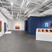 Jin Haofan, Riverbed, exhibition view. Courtesy of Vanguard Gallery