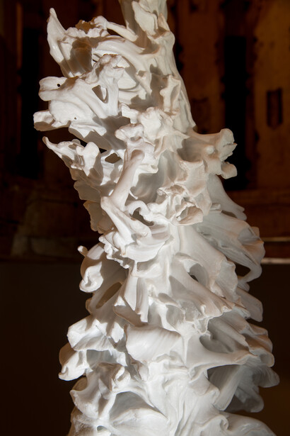 Palazzo Bo - Samorì- Burri - Witkowsky