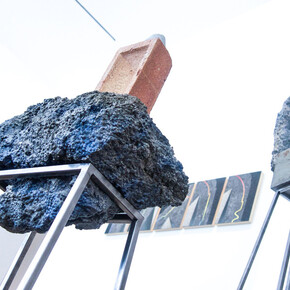 The Manicured Wild, Exhibition view. Courtesy of Kristin Hjellegjerde