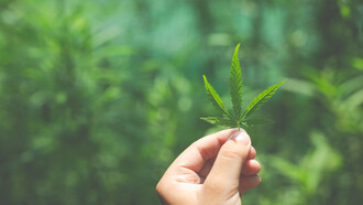 Proteger la selva requiere replantear la lucha antidrogas ya que el desplazamiento de cultivos de coca, amapola y marihuana sigue amenazando nuestras zonas más sensibles