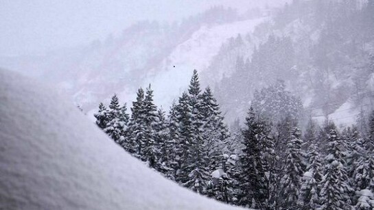 Snow covers practically everything in Yuzawa