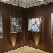 Mae Howard, Between the skin and flesh, a thing, exhibition view. Courtesy of A.I.R. Gallery