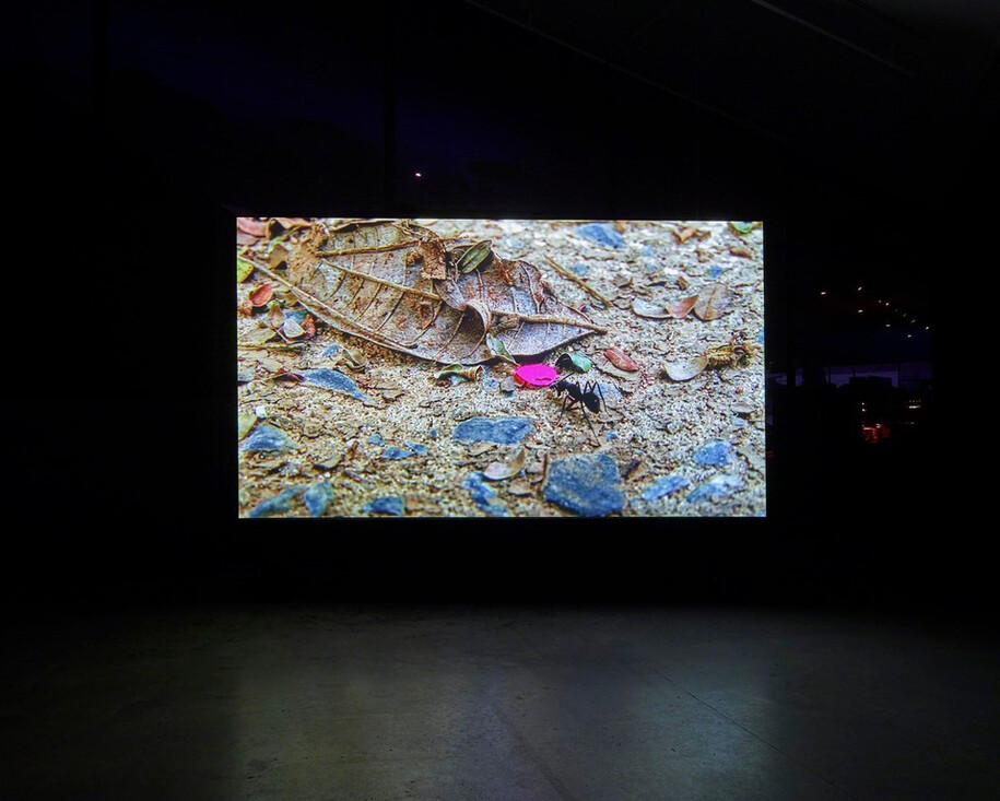 Locus. Courtesy of EYE Film Institute Netherlands 