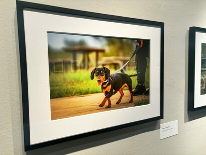 River clicks, 2024 award winners, exhibition view. Courtesy of Witte Museum