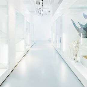 Quagga & Dodo. Courtesy of Naturhistorisches Museum Basel