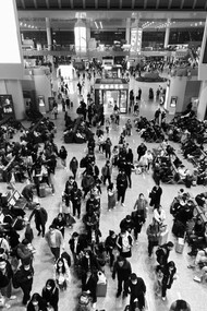 A bagunça impera na pista interna do aeroporto! Para chegarmos na área de embarque, temos que passar pela área de desembarque, com táxis especiais, comuns e carros de passeio tentando resgatar alguém que acabou de chegar à direita ao mesmo tempo em que outros tentam sair do aeroporto à esquerda. Todo este volume de veículos concorre pelo espaço com os carros que apenas querem chegar até a área do embarque. Chegando a área de embarque outro problema: Como encostar o carro junto ao passeio para propiciar o desembarque do passageiro? O espaço de uma outra época já nitidamente saturado para receber a demanda de carros. Caos! Caos! Caos!