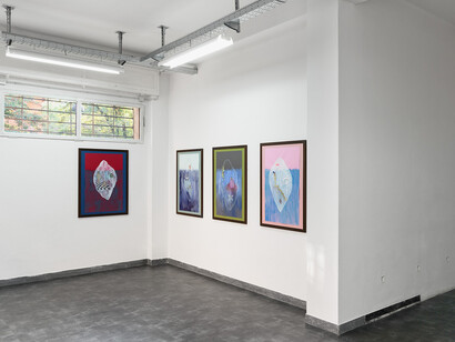Ann Hirsc. Submarine Society, Exhibition view. Courtesy of Galleriapiù
