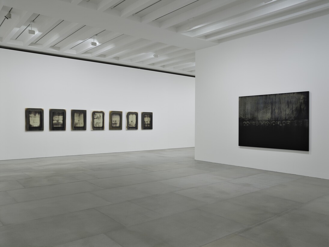 Michael Joo, Radiohalo, installation view, 2016,  Courtesy the artist and BlainSouthern