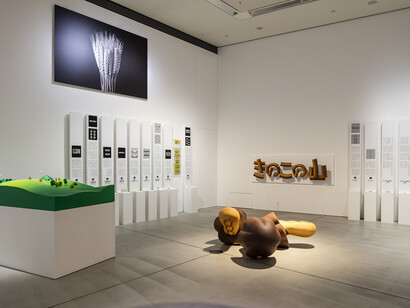 Design Anatomy Kinoko no Yama © Satoshi Asakawa