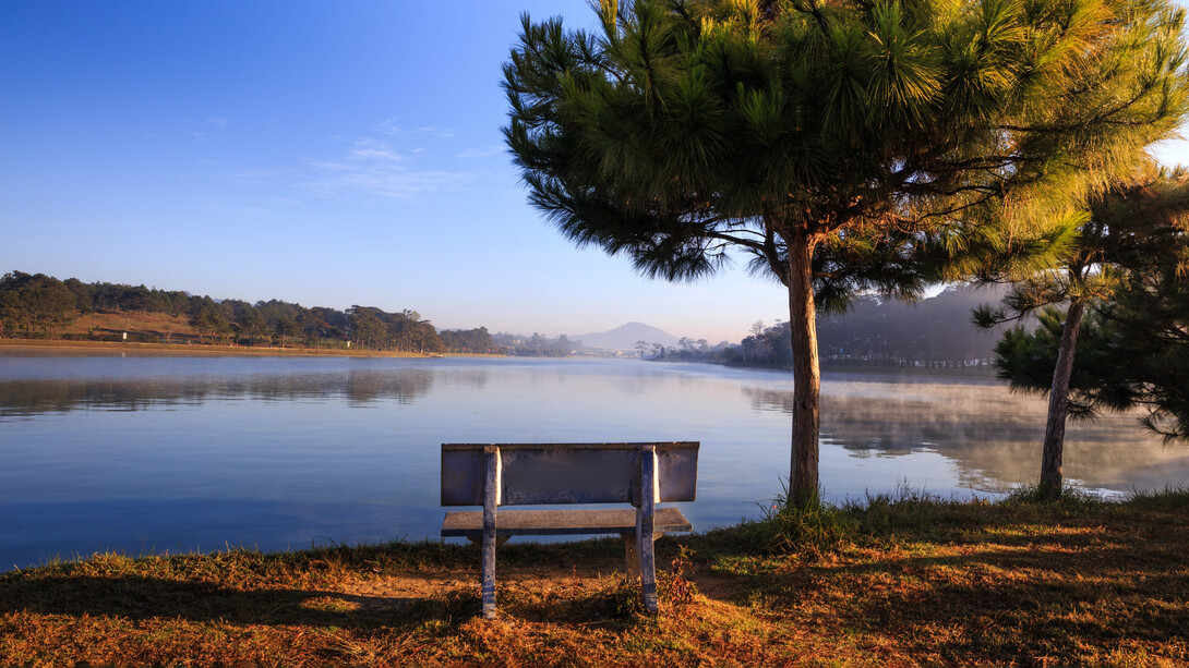 Banco solitario frente a un lago en una silenciosa mañana de otoño